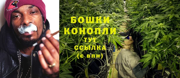 ПСИЛОЦИБИНОВЫЕ ГРИБЫ Медвежьегорск