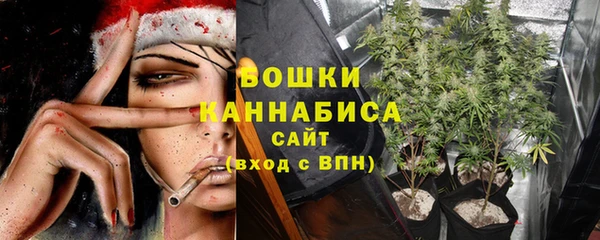хмурый Медногорск