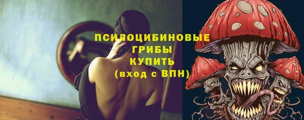 хмурый Медногорск