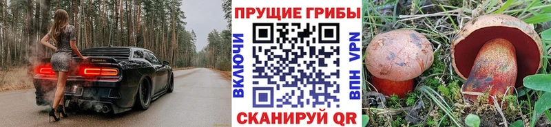 Псилоцибиновые грибы Magic Shrooms  как найти закладки  Юхнов 